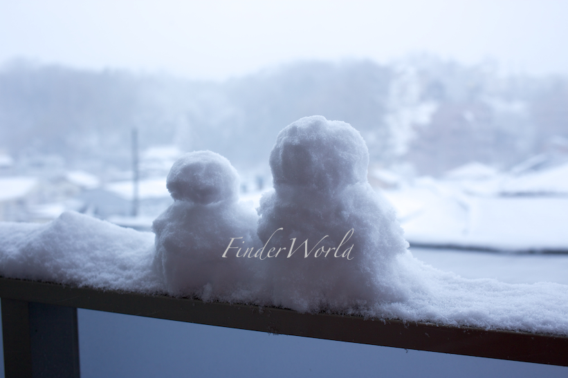 関東大雪2014
