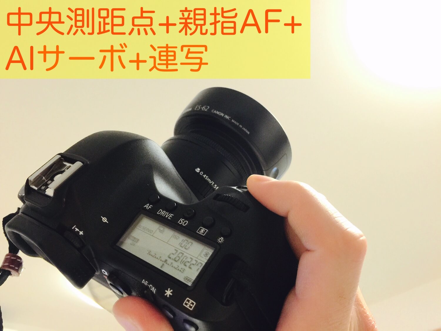 AFセンサーがエントリークラスのカメラは中央測距点+親指AF+AIサーボ+連写モードで劇的に撮影の利便性が上がる